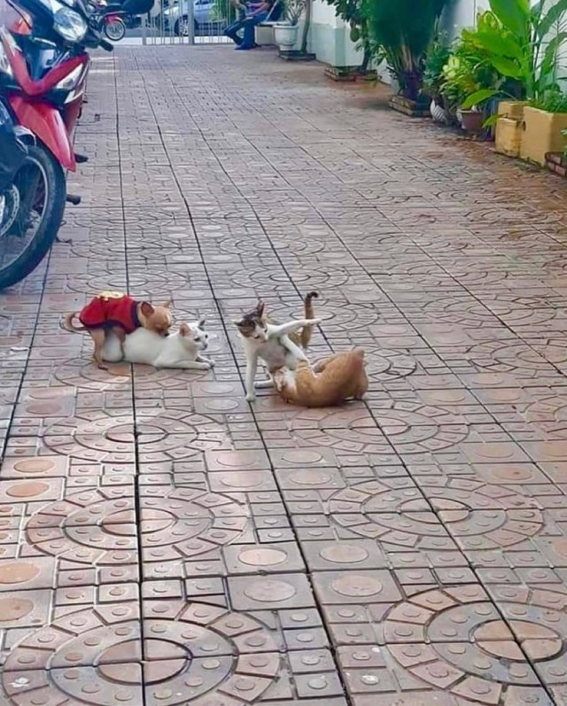 ���������