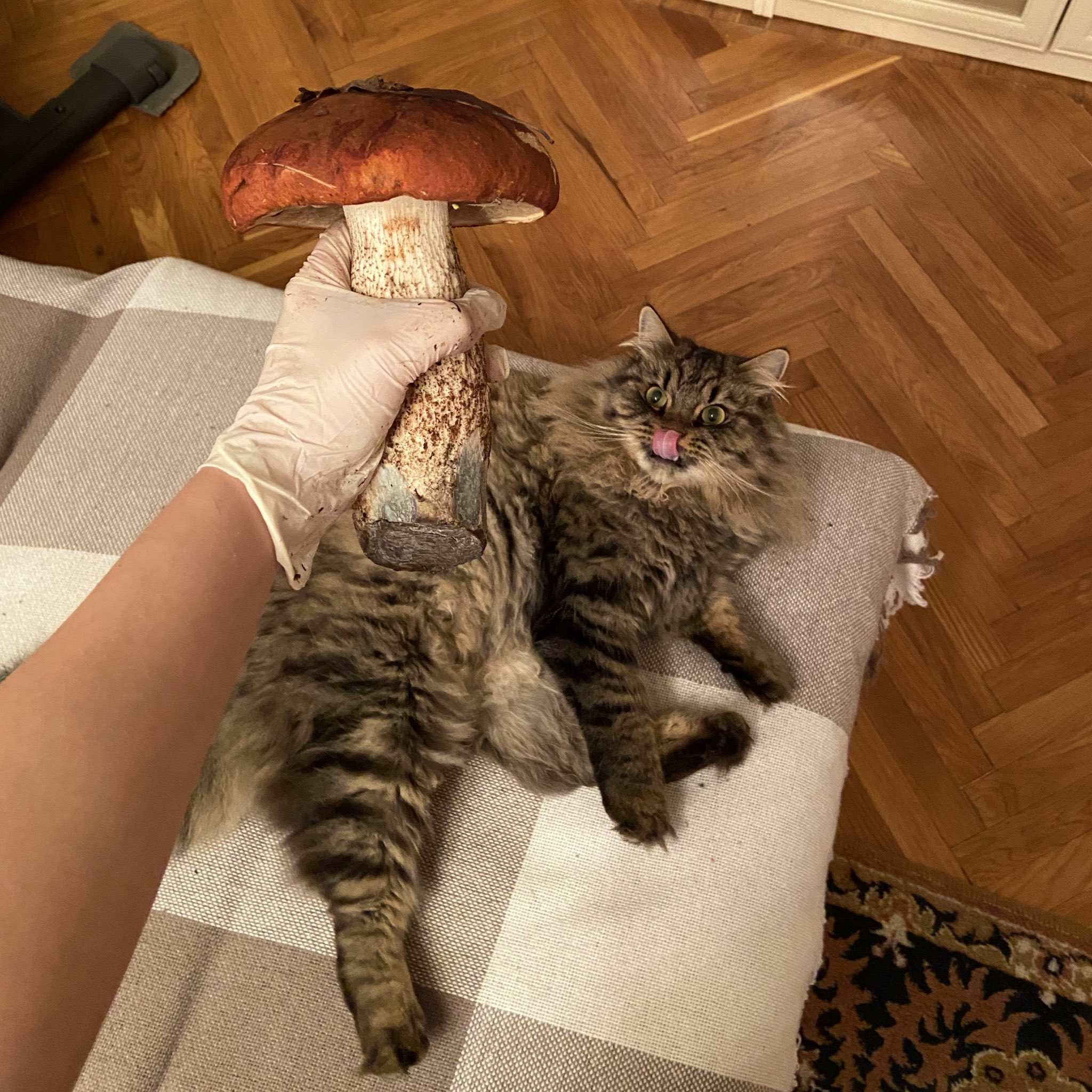 ���������