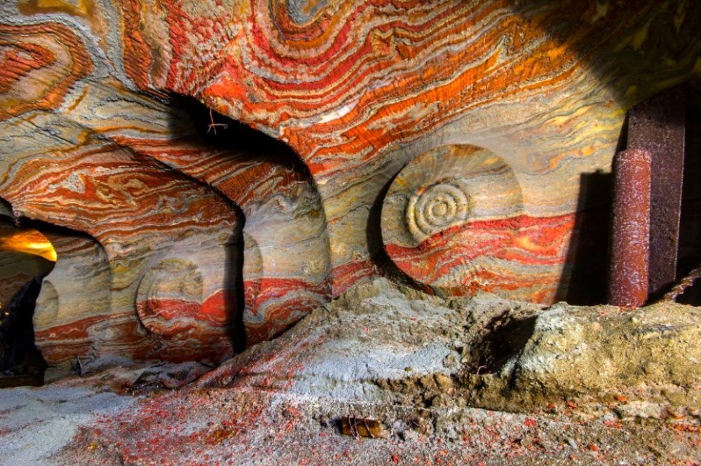 ���������