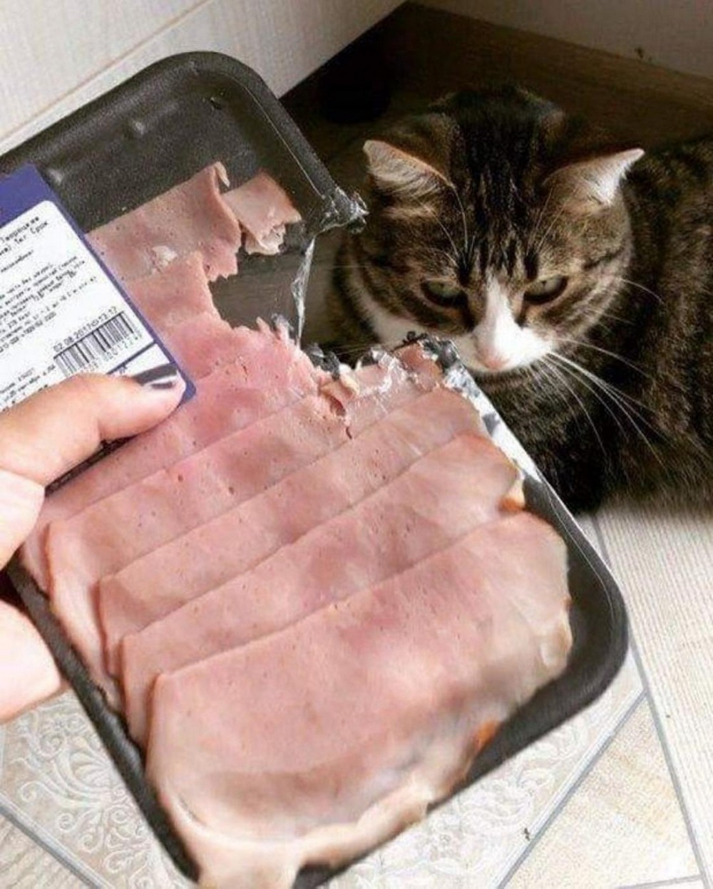 ���������