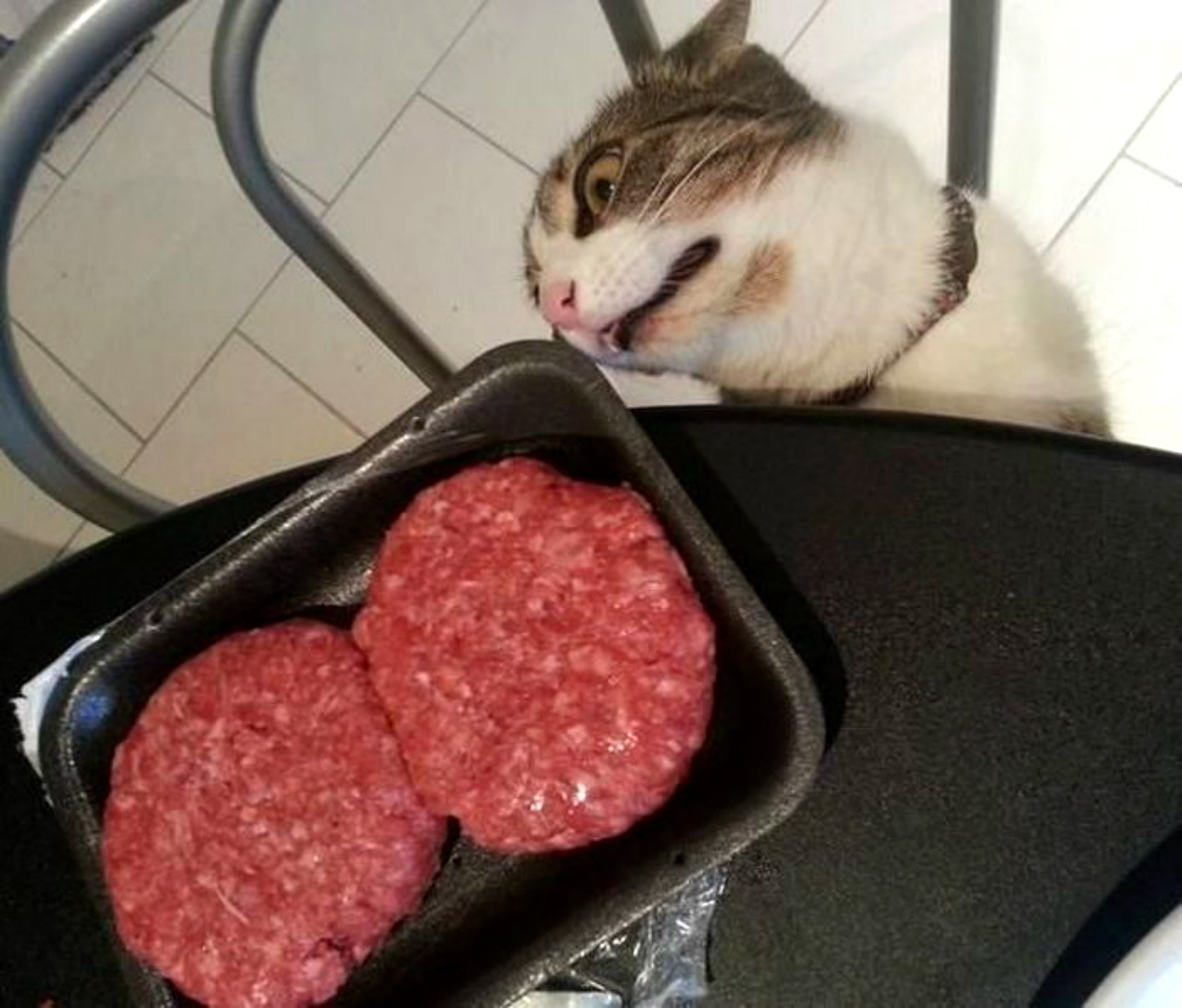 ���������