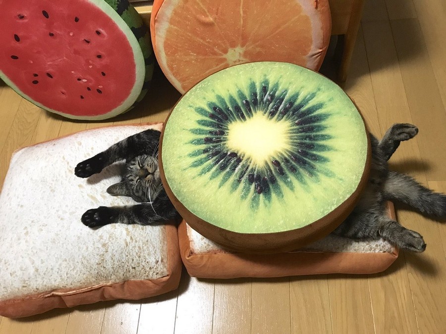 ���������