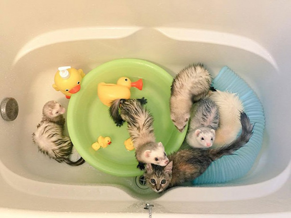 ���������