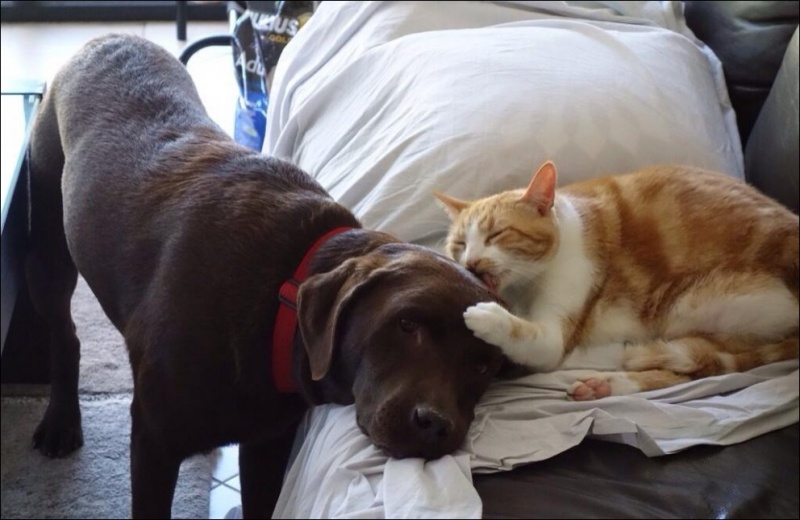 ���������
