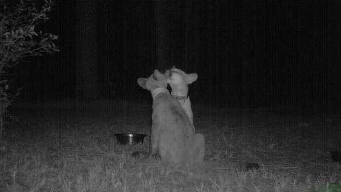 ���������