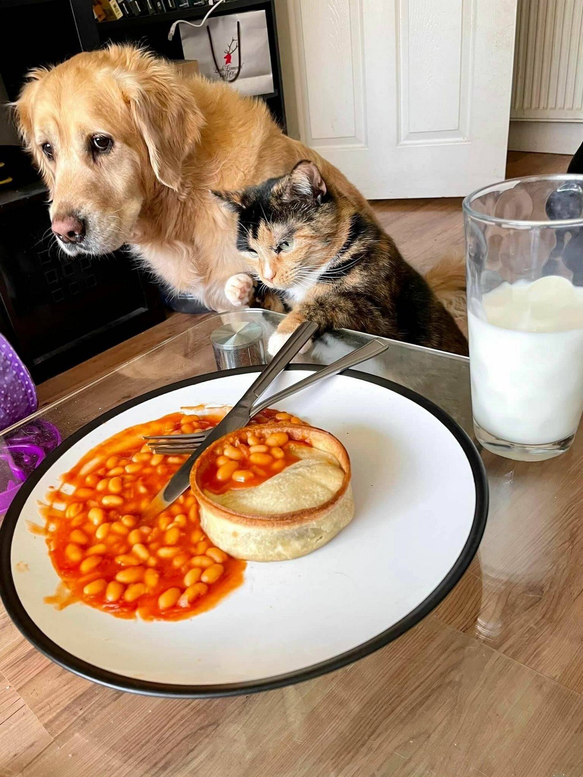 ���������