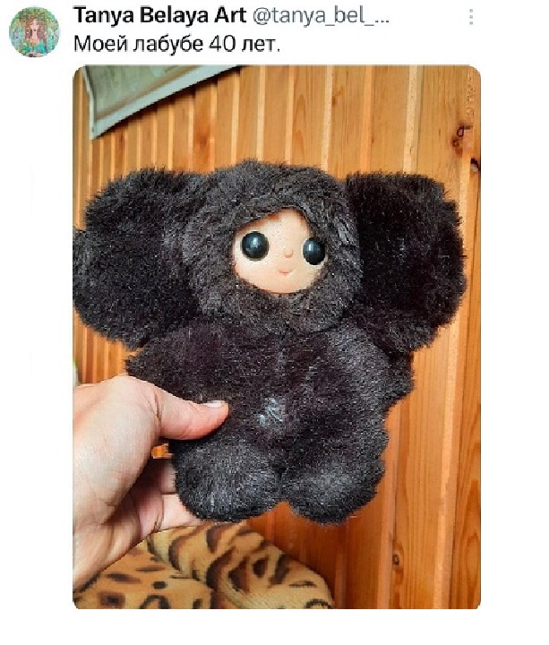 ���������