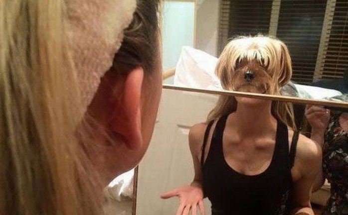 ���������