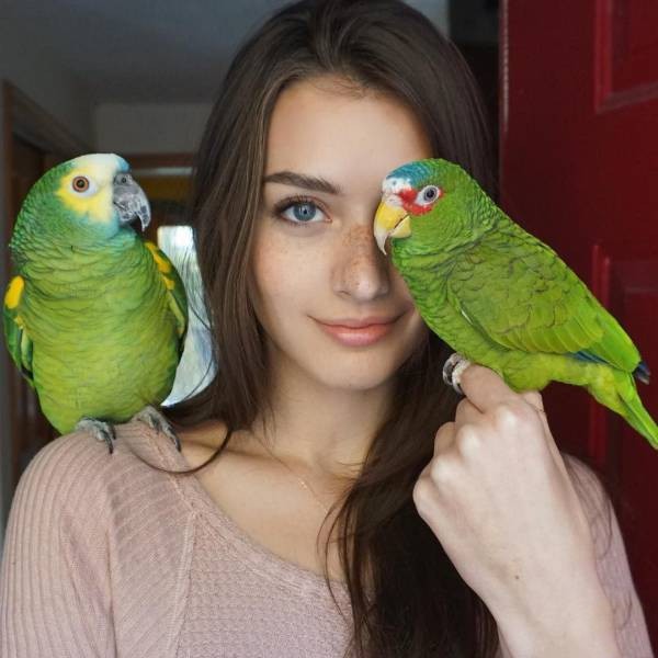 ���������