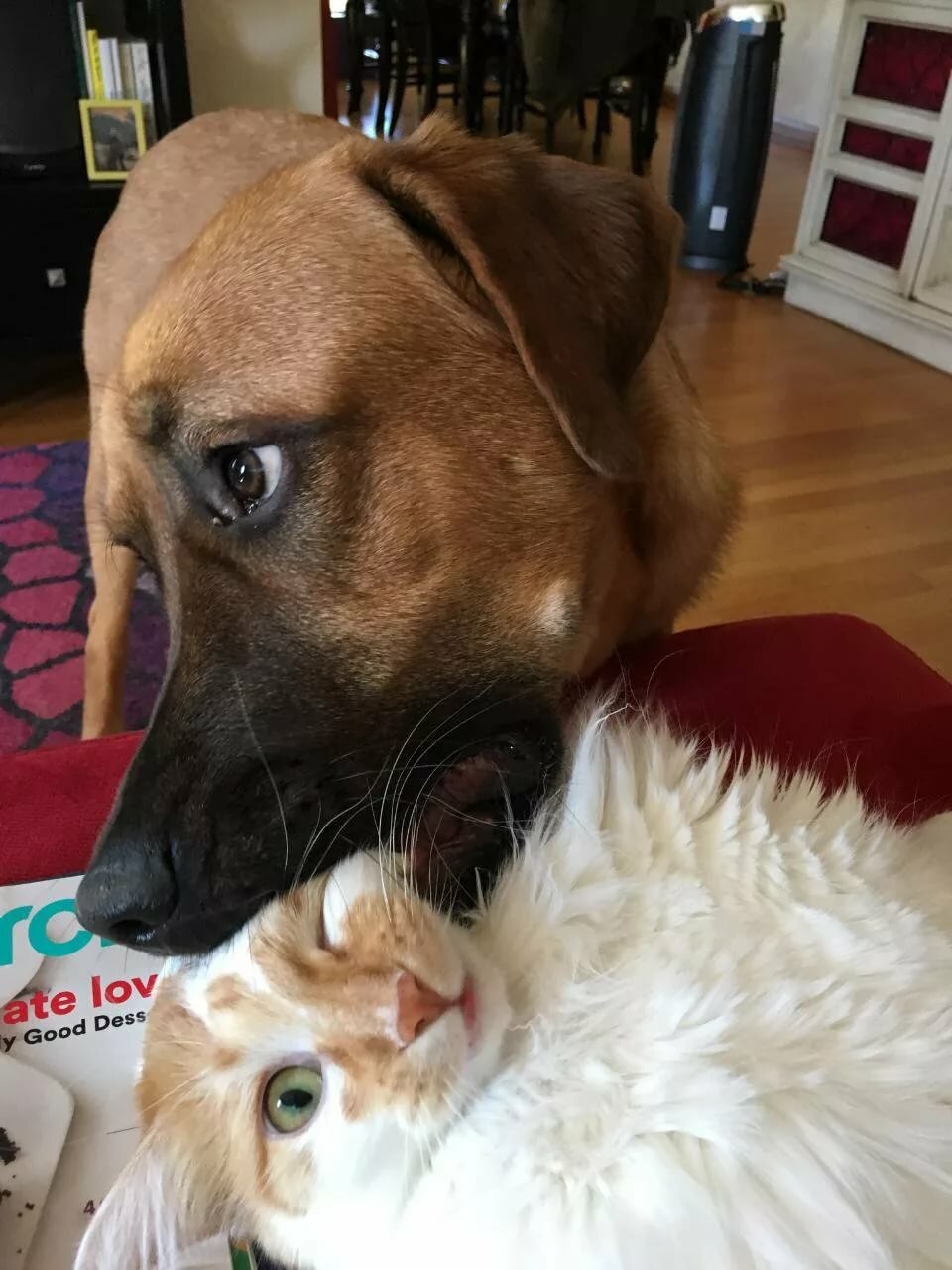 ���������