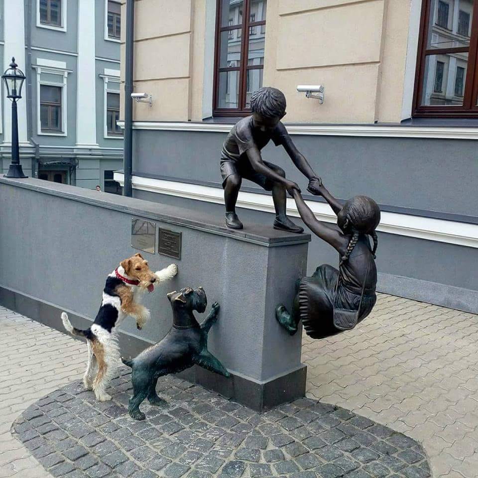 ���������