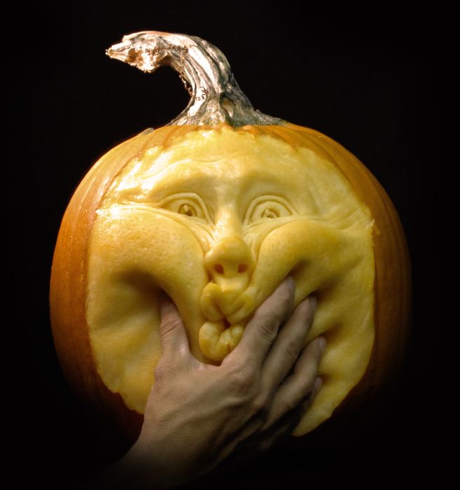 ���������