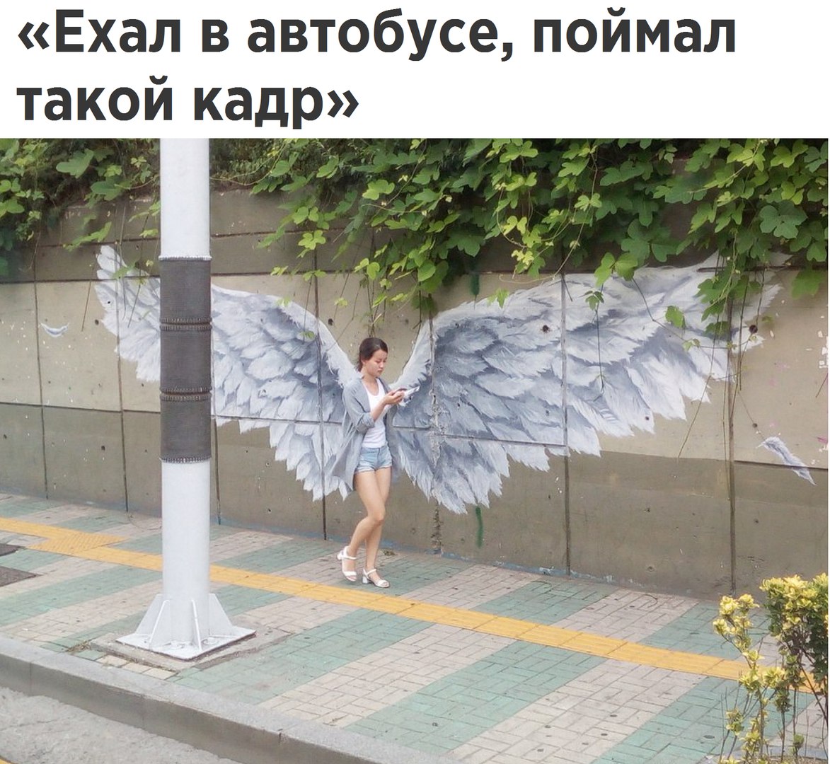 ���������