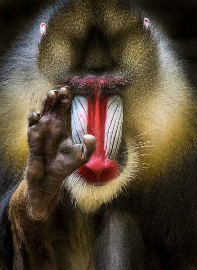 ���������