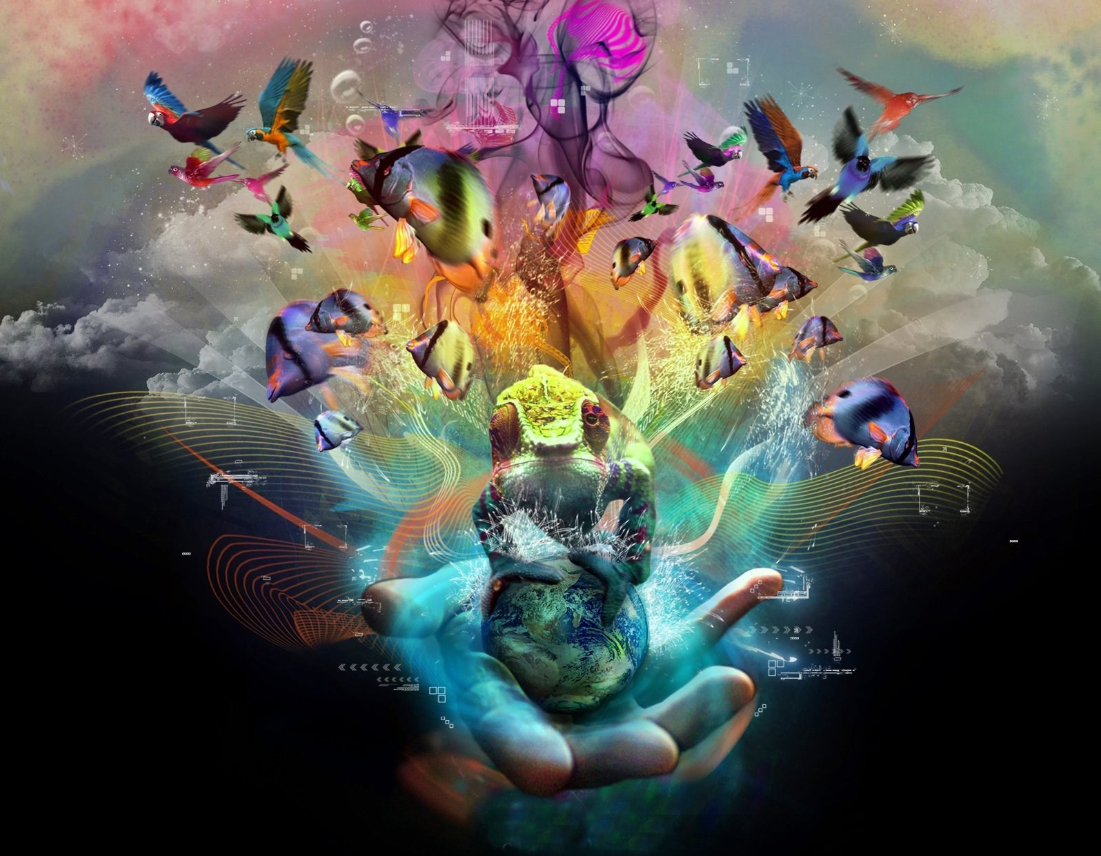 ���������