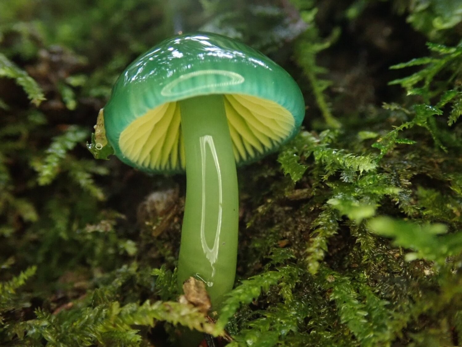 ���������