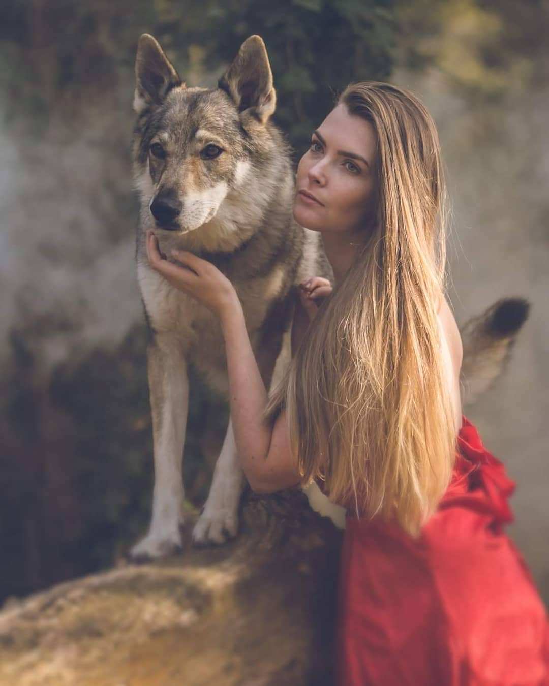 ���������