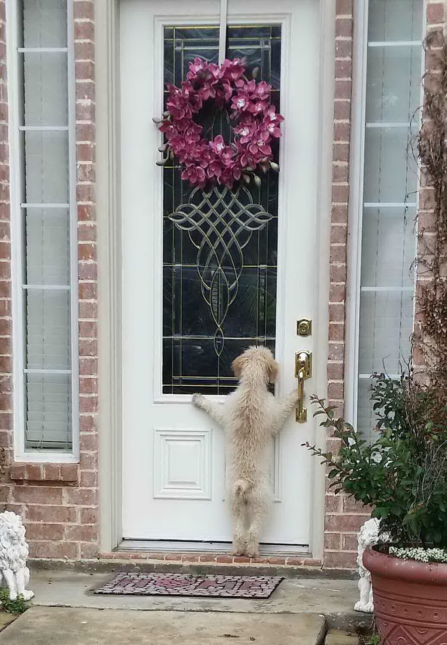 ���������