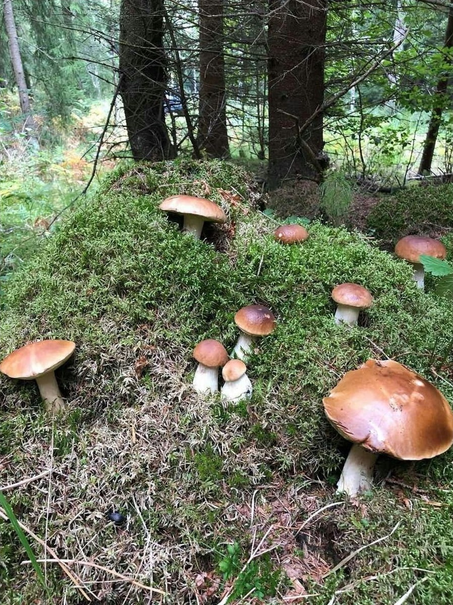 ���������