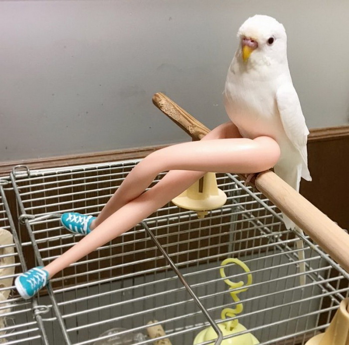 ���������