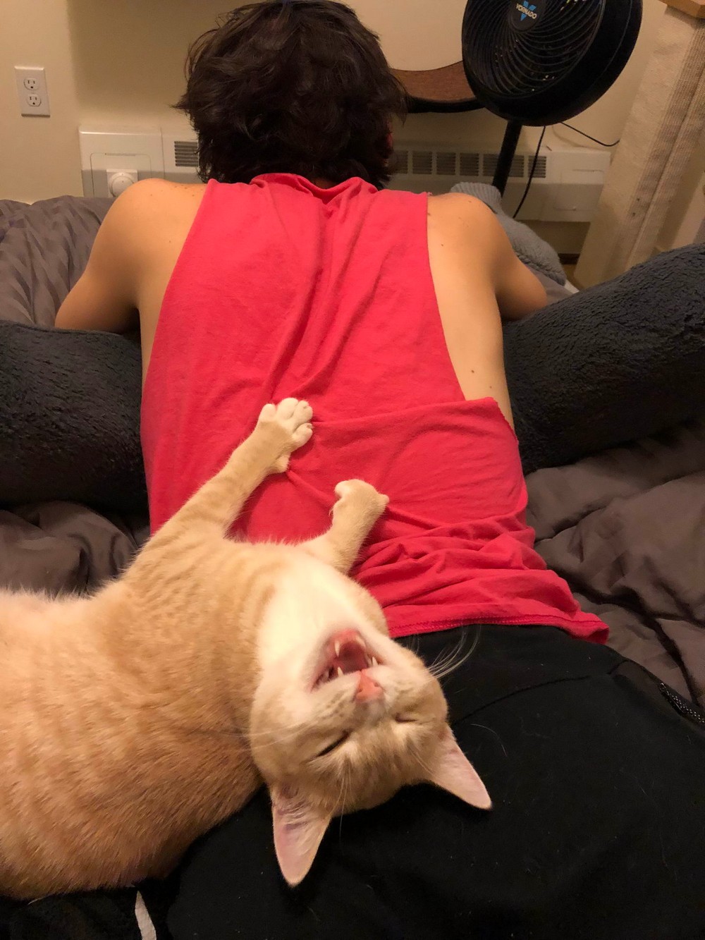 ���������