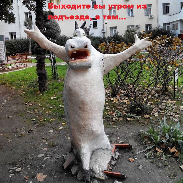 ���������