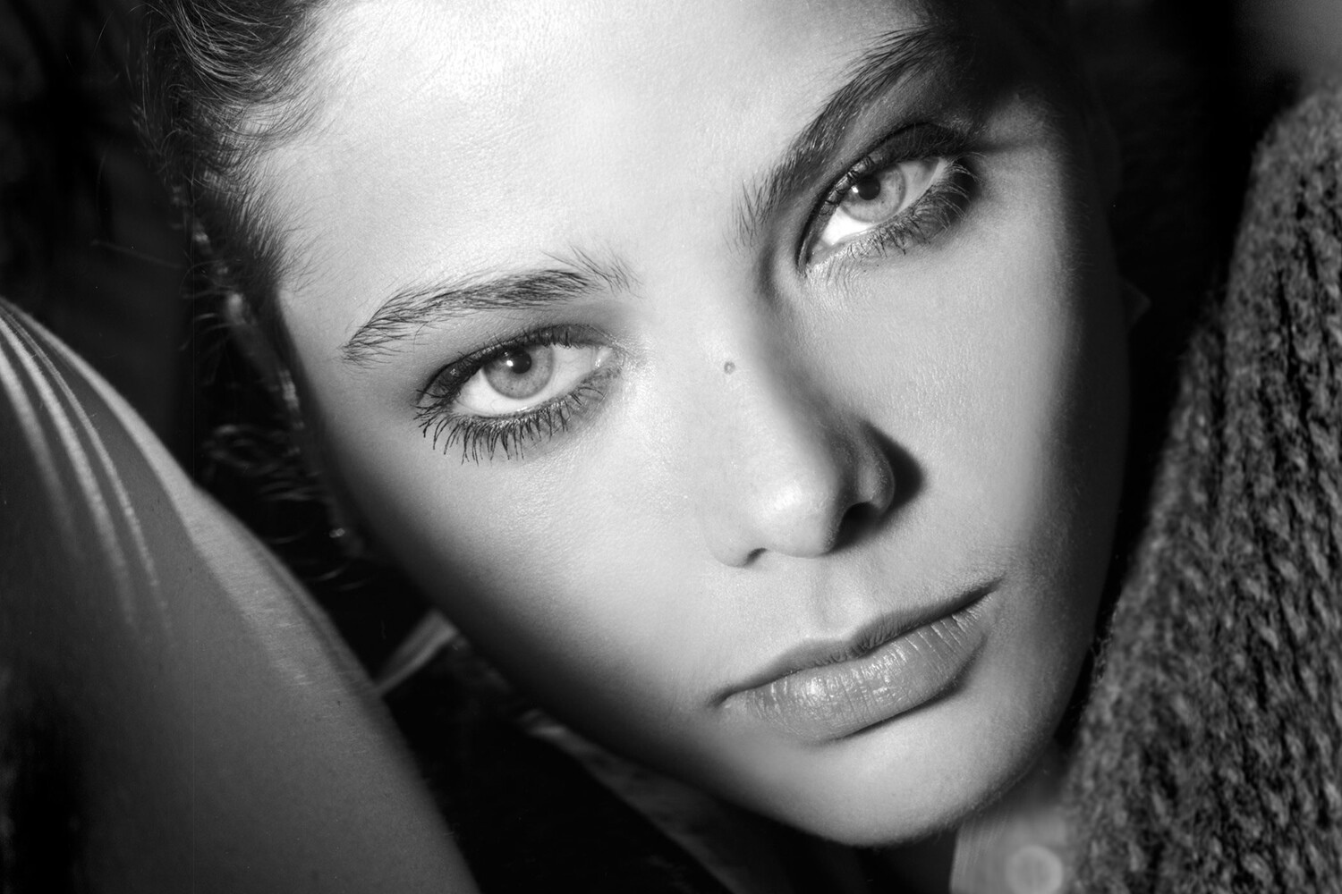 ���������